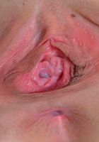 Alison De Vore from ATK Premium