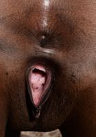 Ebony Monique spreads her ass, Monique Symone (amb039) ATK Exotics: Monique Symone (Ebony Monique spreads her ass)