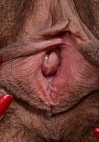 Andy Moon in young and hairy, Andy Moon (and101) ATK Natural & Hairy: Andy Moon (Andy Moon in young and hairy)