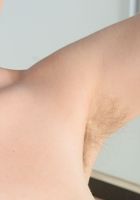 Apricot Pitts in young and hairy, Apricot Pitts (apr024) ATK Natural & Hairy: Apricot Pitts (Apricot Pitts in young and hairy)