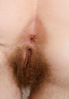 Apricot Pitts in young and hairy, Apricot Pitts (apr024) ATK Natural & Hairy: Apricot Pitts (Apricot Pitts in young and hairy)