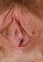 Apricot Pitts in young and hairy, Apricot Pitts (apr024) ATK Natural & Hairy: Apricot Pitts (Apricot Pitts in young and hairy)
