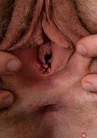 Apricot Pitts in young and hairy, Apricot Pitts (apr024) ATK Natural & Hairy: Apricot Pitts (Apricot Pitts in young and hairy)
