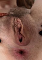 Apricot Pitts in lingerie, Apricot Pitts (apr024) ATK Natural & Hairy: Apricot Pitts (Apricot Pitts in lingerie)