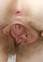 Apricot Pitts in young and hairy, Apricot Pitts (apr024) ATK Natural & Hairy: Apricot Pitts (Apricot Pitts in young and hairy)