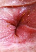 ATK Exotics: Aubry Babcock (Aubry Babcock gets naked fast)