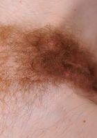 Austin Scott in mature and hairy, Austin Scott (aus003) ATK Natural & Hairy: Austin Scott (Austin Scott in mature and hairy)