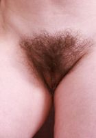 ATK Petites: Big Eyes (Big Eyes might be a cow)