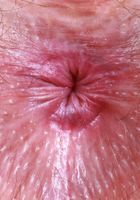 Big Eyes from ATK Natural & Hairy