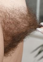 Bratty Wolfie in young and hairy, Bratty Wolfie (bra041) ATK Natural & Hairy: Bratty Wolfie (Bratty Wolfie in young and hairy)