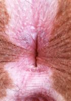 Bratty Wolfie spreads her delicious vulva and spankable ass., Bratty Wolfie (bra041) ATK Natural & Hairy: Bratty Wolfie (Bratty Wolfie spreads her delicious vulva and spankable ass.)