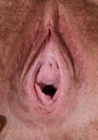 Brielle Woods in young and hairy, Brielle Woods (bri071) ATK Natural & Hairy: Brielle Woods (Brielle Woods in young and hairy)