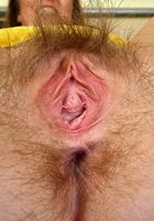 Hairy amateur Carly teases with her panties and hairy pussy, Carly (car075) ATK Archives: Carly (Hairy amateur Carly teases with her panties and hairy pussy)