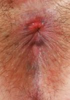 Cece Lachey Ass Air Hairy Pussy, Cece Lachey (cec015) ATK Natural & Hairy: Cece Lachey (Cece Lachey Ass Air Hairy Pussy)