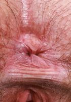 Annabelle Lee from ATK Petites