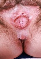 ATK Petites: Annabelle Lee (Annabelle Lee is in pretty pink bra and panties)