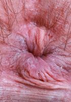 ATK Natural & Hairy: Annabelle Lee (Annabelle Lee is in pretty pink bra and panties)