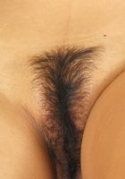 Damiana Stockings Strip Tease, Damiana (dam001) ATK Natural & Hairy: Damiana (Damiana Stockings Strip Tease)