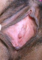 Davin is Pretty in Pink, Davin (dav012) ATK Natural & Hairy: Davin (Davin is Pretty in Pink)