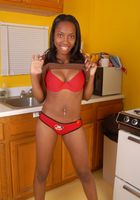Dazz in toys, Dazz (daz001) ATK Exotics: Dazz (Dazz in toys)