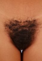 Diana in exotic and hairy, Diana (dia027) ATK Natural & Hairy: Diana (Diana in exotic and hairy)