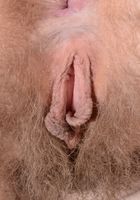 Felicia Fisher in scary hairy, Felicia Fisher (fel024) ATK Natural & Hairy: Felicia Fisher (Felicia Fisher in scary hairy)