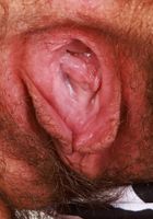 Gigi from ATK Natural & Hairy