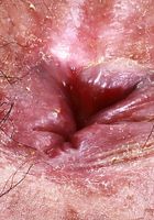 Hazel Heart Pretty Panties and Pink Hairy Pussy, Hazel Heart (haz016) ATK Petites: Hazel Heart (Hazel Heart Pretty Panties and Pink Hairy Pussy)