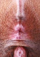 ATK Exotics: Isabella Jules (Sporty Isabella Jules Strips and Spreads)