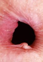 Jackie Hoff Hot Ass Gape, Jackie Hoff (jac041) ATK Petites: Jackie Hoff (Jackie Hoff Hot Ass Gape)