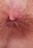Jackie Hoff Spreading her Beautiful Bush and Ass, Jackie Hoff (jac041) ATK Natural & Hairy: Jackie Hoff (Jackie Hoff Spreading her Beautiful Bush and Ass)