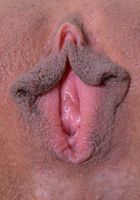 The luscious lips of Jade Jantzen, Jade Jantzen (jad038) ATK Exotics: Jade Jantzen (The luscious lips of Jade Jantzen)