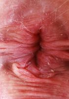 Jill Taylor Strips and Spreads Her Bright Pink Pussy, Jill Taylor (jil023) ATK Galleria: Jill Taylor (Jill Taylor Strips and Spreads Her Bright Pink Pussy)
