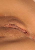 Jynx Maze from ATK Exotics