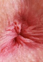 Kallie Taylor Spreads on her Knees, Kallie Taylor (kal019) ATK Natural & Hairy: Kallie Taylor (Kallie Taylor Spreads on her Knees)