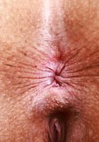 Kate Legend from ATK Petites