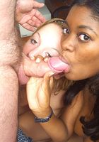Kitty in blowjob, Kitty (kit003) ATK Exotics: Kitty (Kitty in blowjob)