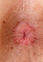 Kristen flaunts her young trimmed twat., Kristen Scott (kri081) ATK Premium: Kristen Scott (Kristen flaunts her young trimmed twat.)