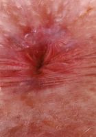 Krystal Palmer Panty Flash Pussy Spreads, Krystal Palmer (kry021) ATK Petites: Krystal Palmer (Krystal Palmer Panty Flash Pussy Spreads)