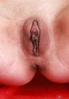 Leila Mills from ATK Exotics