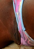 Lexi in upskirts and panties, Lexi (lex024) ATK Exotics: Lexi (Lexi in upskirts and panties)