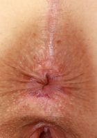 Lily Bell Indoor Strip, Lilly Bell (lil093) ATK Petites: Lilly Bell (Lily Bell Indoor Strip)