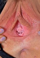 Lyra shows plenty of leg and tight pink pussy, Lyra Law (lyr003) ATK Galleria: Lyra Law (Lyra shows plenty of leg and tight pink pussy)