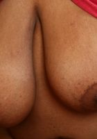 Misty peels off her panties and unleashes her big bush, Misty (mis064) ATK Exotics: Misty (Misty peels off her panties and unleashes her big bush)