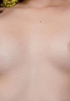 Nicole Ferrera likes to be naked and masturbates with her vibrator, Nicole Ferrera (nic088) ATK Galleria: Nicole Ferrera (Nicole Ferrera likes to be naked and masturbates with her vibrator)