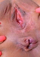Nicole Bexley shows that amazing tan skin, Nicole Bexley (nic097) ATK Petites: Nicole Bexley (Nicole Bexley shows that amazing tan skin)