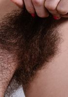 Pearl Sage tugs on her nipple hair, Pearl Sage (pea013) ATK Natural & Hairy: Pearl Sage (Pearl Sage tugs on her nipple hair)