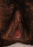 Lilly in black women, Lilly (pen005) ATK Exotics: Lilly (Lilly in black women)