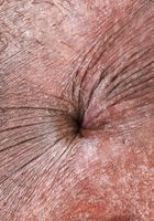 Poppy Cox from ATK Exotics