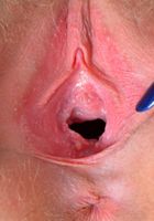 Rococo gapes her hot pink holes., Rococo Royalle (roc013) ATK Natural & Hairy: Rococo Royalle (Rococo gapes her hot pink holes.)